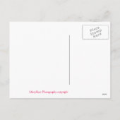 Happy Valentine Postcard Feiertagspostkarte (Rückseite)