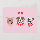 Happy Valentines Day American Pit Bull Terriers Postkarte (Vorderseite)