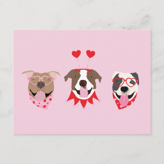 Happy Valentines Day American Pit Bull Terriers Postkarte (Vorderseite)