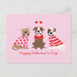 Happy Valentines Day American Pit Bull Terriers Postkarte