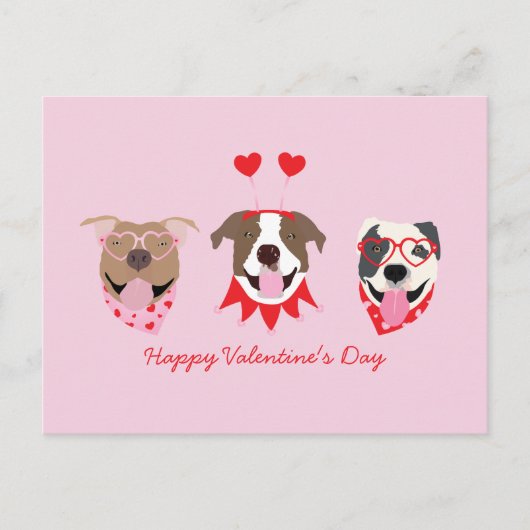 Happy Valentines Day American Pit Bull Terriers Postkarte (Vorderseite)