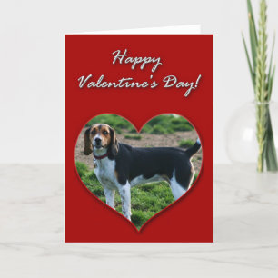Happy Valentine's Day Beagle Dog Greeting Card Feiertagskarte