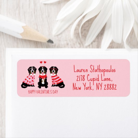 Happy Valentines Day Berner Hunde (Insitu)