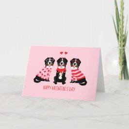 Happy Valentines Day Berner Hunde Feiertagskarte