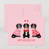 Happy Valentines Day Berner Hunde Postkarte (Vorne/Hinten)