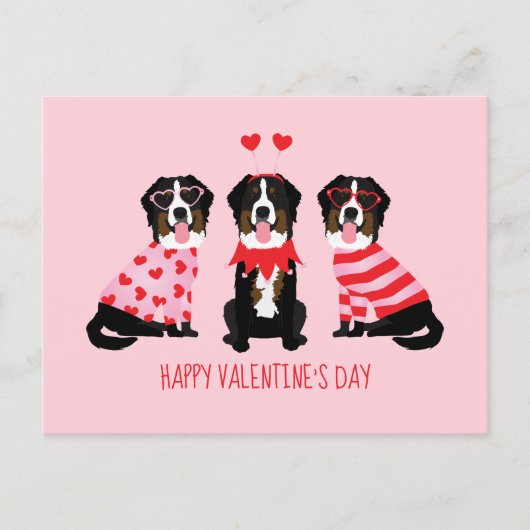 Happy Valentines Day Berner Hunde Postkarte (Vorderseite)