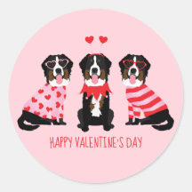 Happy Valentines Day Berner Hunde