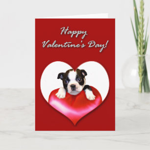 Happy Valentine's Day Boston Terrier Card Feiertagskarte