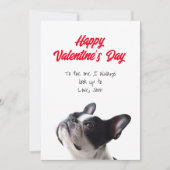 Happy Valentine's Day Boston Terrier Card Karte (Vorderseite)