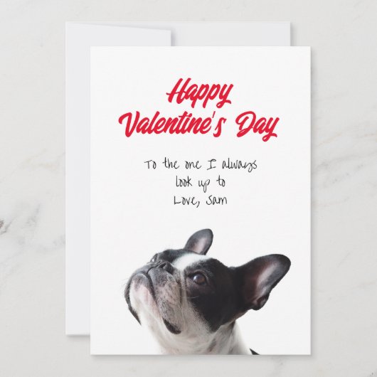 Happy Valentine's Day Boston Terrier Card Karte (Vorderseite)