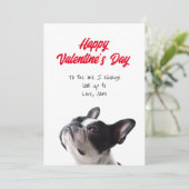 Happy Valentine's Day Boston Terrier Card Karte (Stehend Vorderseite)
