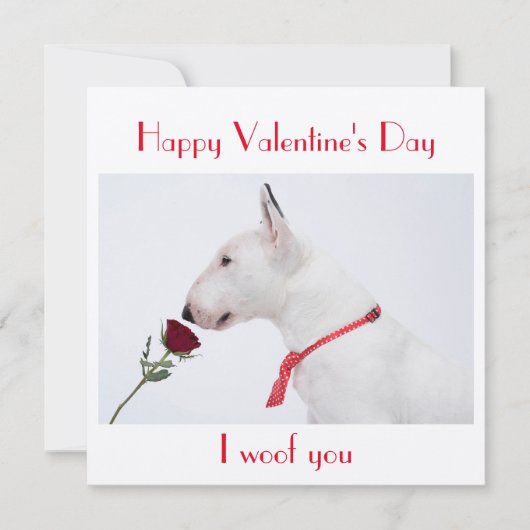Happy Valentine's Day Bull Terrier with a Rose Karte (Vorderseite)