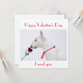 Happy Valentine's Day Bull Terrier with a Rose Karte (Vorderseite/Rückseite Beispiel)