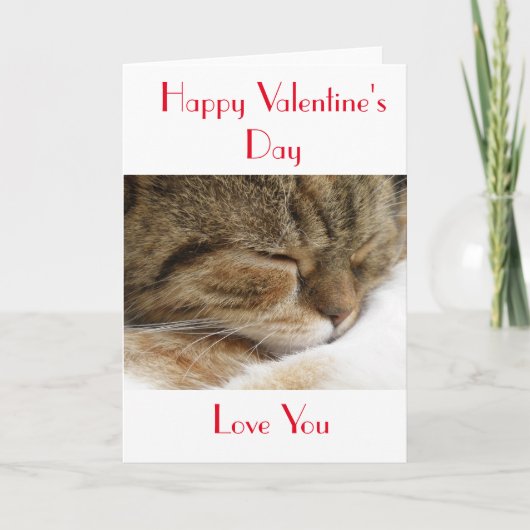 Happy Valentine's Day Cat Card Feiertagskarte (Vorderseite)