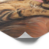 Happy Valentines Day Cat Poster (Ecke)