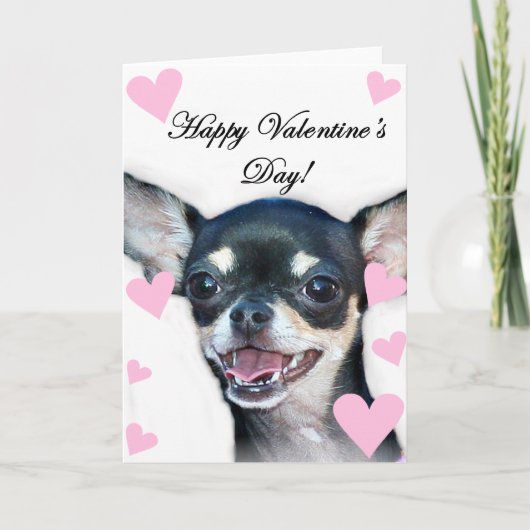 Happy Valentine's Day Chihuahua Feiertagskarte (Vorderseite)