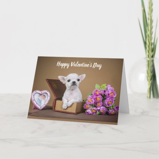 Happy Valentine's Day Chihuahua Puppy Feiertagskarte (Vorderseite)