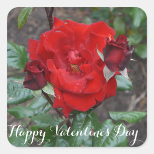 Happy Valentine's Day Crimson Bouquet #1 Stickers