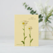 Happy Valentine's Day - Daisy Blume Feiertagspostkarte (Stehend Vorderseite)