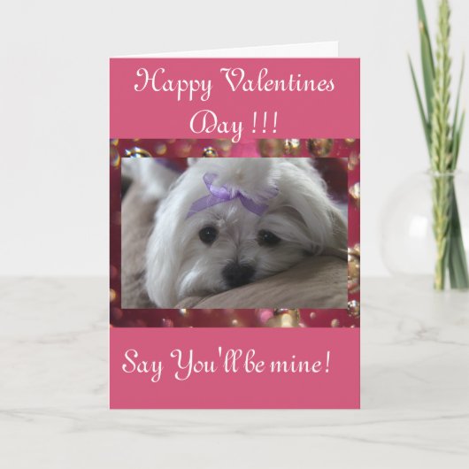 Happy Valentines Day Feiertagskarte (Vorderseite)