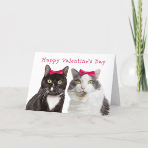 Happy Valentine's Day for Female Friend Girl Cats Feiertagskarte