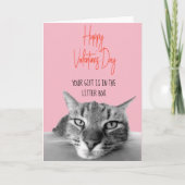 Happy Valentine's Day From Cat to Human Funny Karte (Vorderseite)
