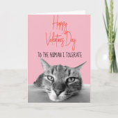 Happy Valentine's Day From Cat to Human Funny Karte (Vorderseite)