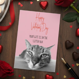 Happy Valentine's Day From Cat to Human Funny Karte
