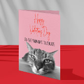 Happy Valentine's Day From Cat to Human Funny Karte