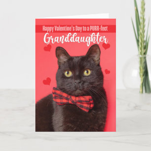 Happy Valentine's Day Grandtochter Niedlich Cat Feiertagskarte