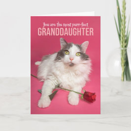 Happy Valentines Day Grandtochter Niedliche Katze Feiertagskarte