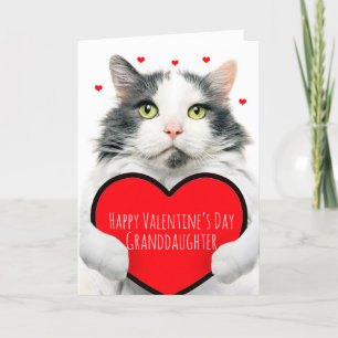 Happy Valentines Day Grandtochter Niedliches Katze Feiertagskarte