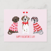 Happy Valentines Day Great Dane Hunde