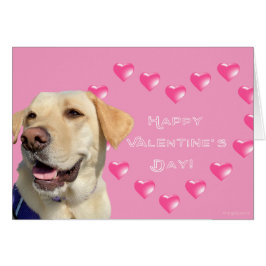 Happy Valentine's Day Labrador Hunde Herz Liebe Ka