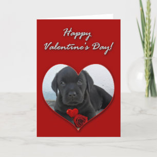 Happy Valentine's Day Labrador Welpenkarte Feiertagskarte