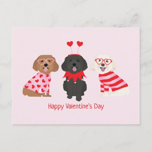 Happy Valentines Day Maltipoo Hunde Postkarte (Vorderseite)