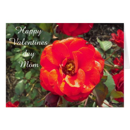 HAPPY VALENTINES DAY MAMA Card (Vorderseite (Horizontal))