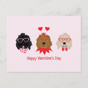 Happy Valentines Day Mini Goldendoodle Hunde Postkarte