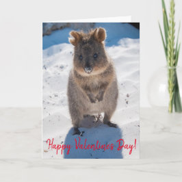Happy Valentine's Day Niedlich Quokka am Strand Karte
