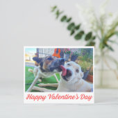 Happy Valentines Day niedliche Hunde Foto Ferienka (Stehend Vorderseite)