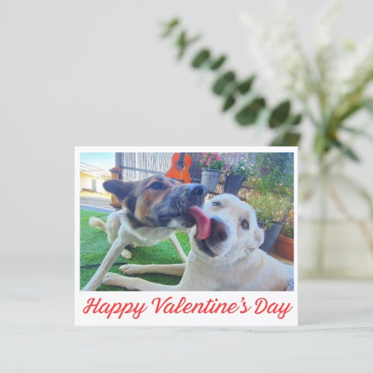 Happy Valentines Day niedliche Hunde Foto Ferienka (Stehend Vorderseite)