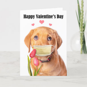 Happy Valentine's Day Niedlicher Labrador Welpe in Feiertagskarte