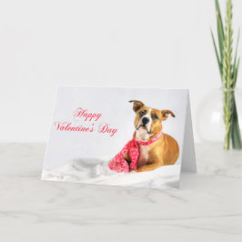 Happy Valentines Day Pitbull Puppy Feiertagskarte