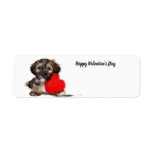 Happy Valentine's Day Puppy (Vorne)