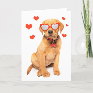 Happy Valentine's Day Red Fox Labrador Puppy Humor Feiertagskarte