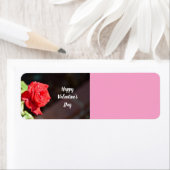 Happy Valentine's Day Rose (Insitu)