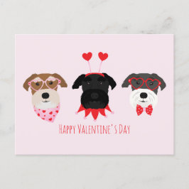 Happy Valentines Day Schnauzer Hunde Postkarte