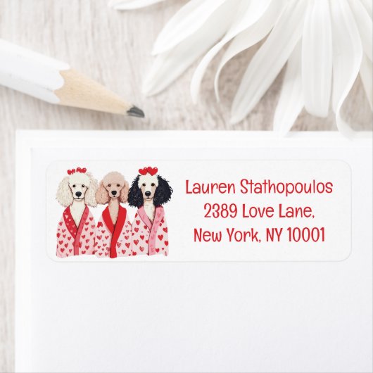 Happy Valentines Day Standard Poodle Hunde (Insitu)