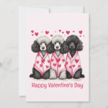 Happy Valentines Day Standard Poodle Hunde