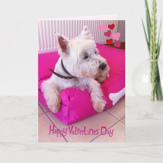 Happy Valentine's Day Westie Card Feiertagskarte (Vorderseite)